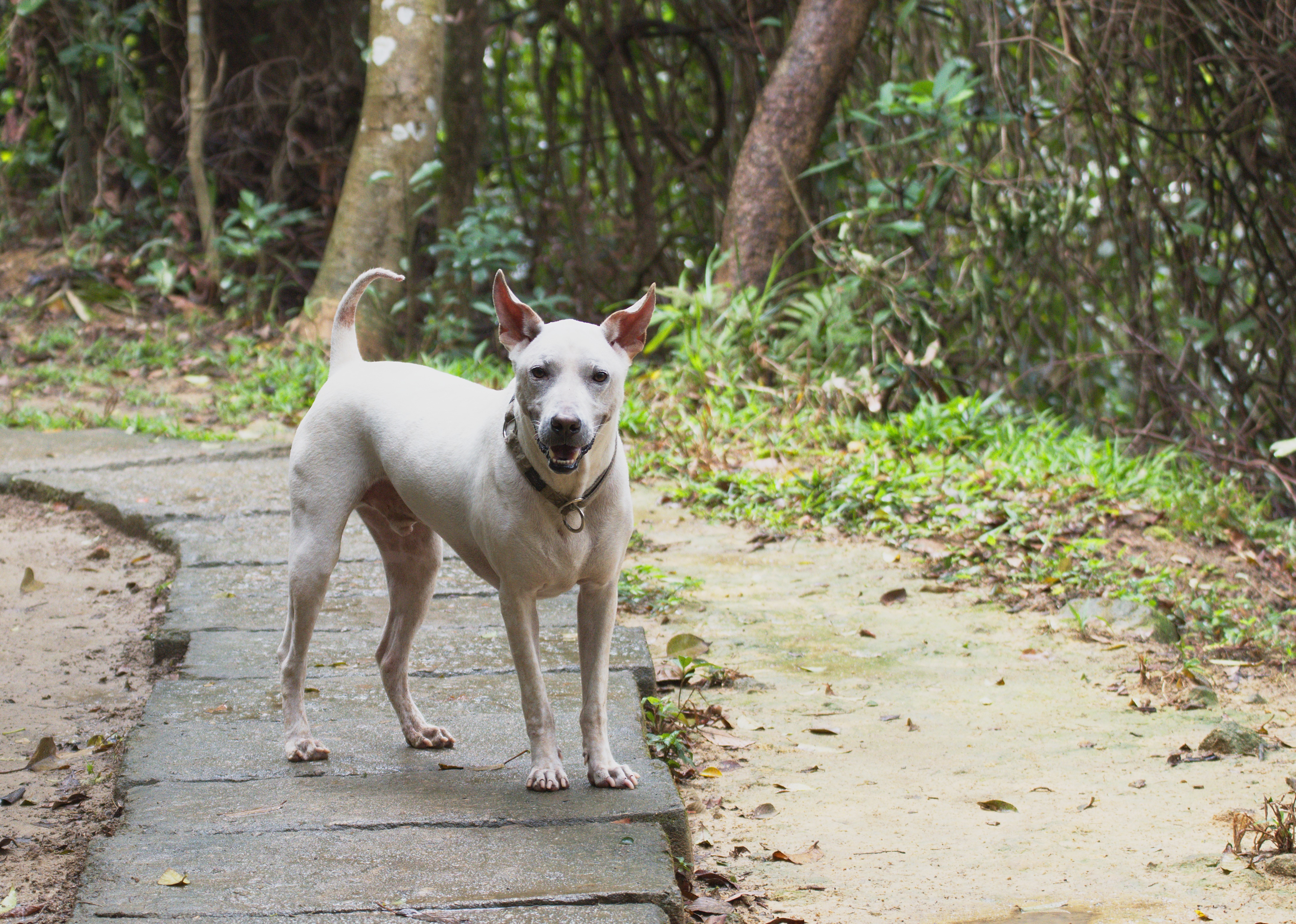 Developed using darktable 2.6.0